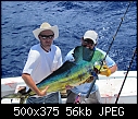 Click image for larger version

Name:	Checklick big dolphin 5-11.jpg
Views:	704
Size:	55.8 KB
ID:	891