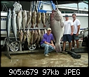 Click image for larger version

Name:	5 Grouper.jpg
Views:	2055
Size:	97.4 KB
ID:	857