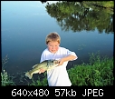 Click image for larger version

Name:	Austin fish.jpg
Views:	443
Size:	57.1 KB
ID:	323