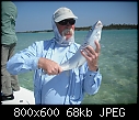 Click image for larger version

Name:	south andros 3-2011 086.jpg
Views:	1776
Size:	68.0 KB
ID:	879