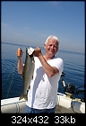 Click image for larger version

Name:	Bob's Lake Trout(Lake Michigan).jpg
Views:	1482
Size:	33.5 KB
ID:	776