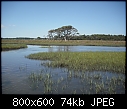 Click image for larger version

Name:	July 2010-harkers island 004.jpg
Views:	1184
Size:	74.0 KB
ID:	804