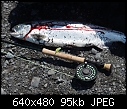 Click image for larger version

Name:	sockeye2.JPG
Views:	661
Size:	95.0 KB
ID:	336