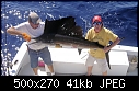Click image for larger version

Name:	Stroud sailfish report image.jpg
Views:	672
Size:	40.6 KB
ID:	855