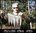 Click image for larger version

Name:	Brook trout.jpg
Views:	798
Size:	65.3 KB
ID:	211