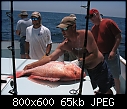 Click image for larger version

Name:	Red Snapper.jpg
Views:	822
Size:	64.8 KB
ID:	263